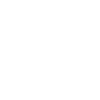 icons8-globe-100